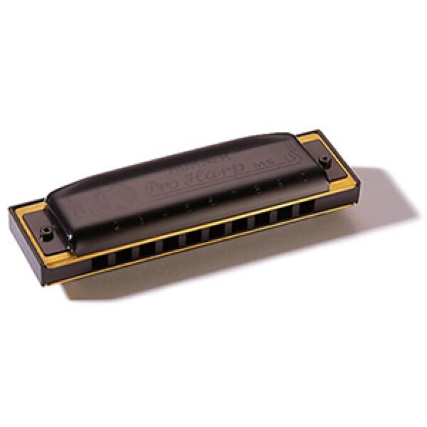ArmÃ³nica Hohner Pro Harp 20V 562/20 (Bb)