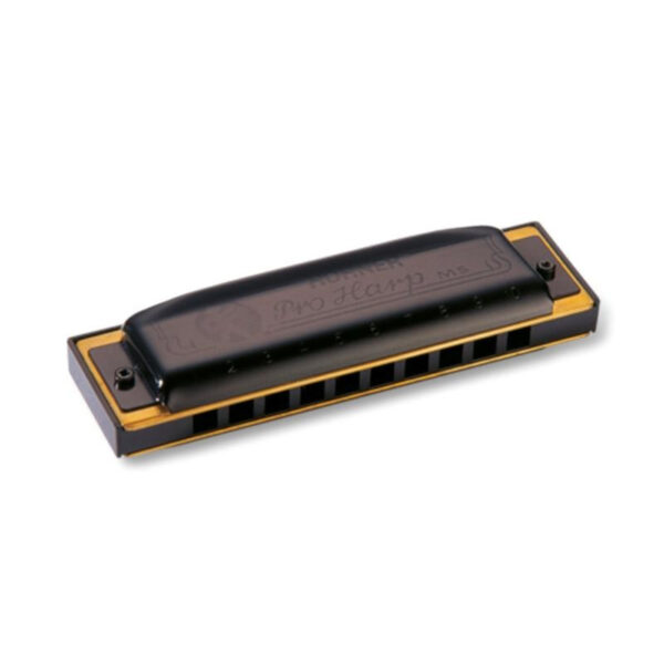 ArmÃ³nica Hohner Pro Harp 20V 562/20 (C)