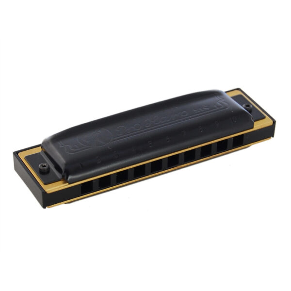ArmÃ³nica Hohner Pro Harp 20V 562/20 (F#)