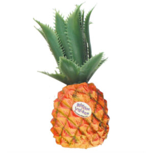 Fruit Shaker Rhythm Tech PiÃ±a RT2054