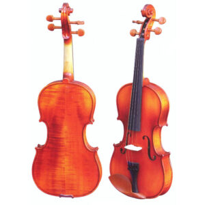 ViolÃ­n Gaudieri HD-V21 1/2