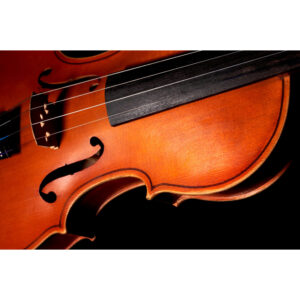 Juego Cuerdas ViolÃ­n "Popular" G-105/4/4